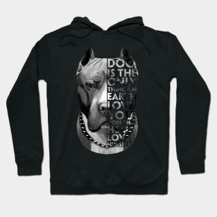 A Dog Is The Only Thing On Earth Love You More Than He Loves Himself Hoodie